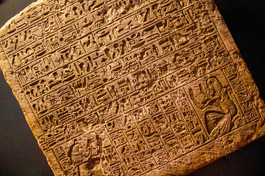 Nam sodales scelerisque ipsum sed vestibulum
